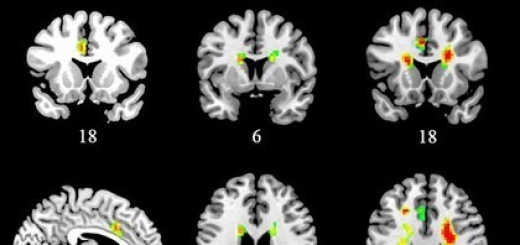 Ученые впервые определили воздействие любви на мозг