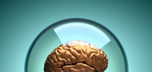 Ученые из США вырастили человеческий мини-мозг