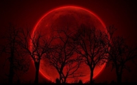 Если в воскресенье 27 сентября вы посмотрите в небо, то увидите огромную красную Луну. Не волнуйтесь, это не признак конца света и начала апокалипсиса (по крайней мере, мы надеемся). Вы станете свидетелем редкого и захватывающего дух события.