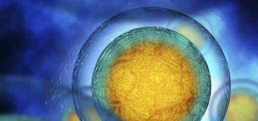 Впервые в истории клетки с отредактированным геномом были успешно использованы для борьбы с раком