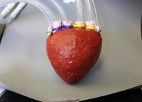 Ученые нашли новый материал для искусственного сердца